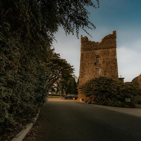 Killiane Castle Country House & Farm Drinagh Ngoại thất bức ảnh