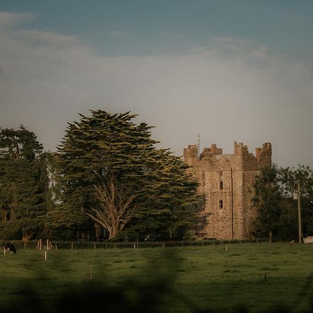 Killiane Castle Country House & Farm Drinagh Ngoại thất bức ảnh