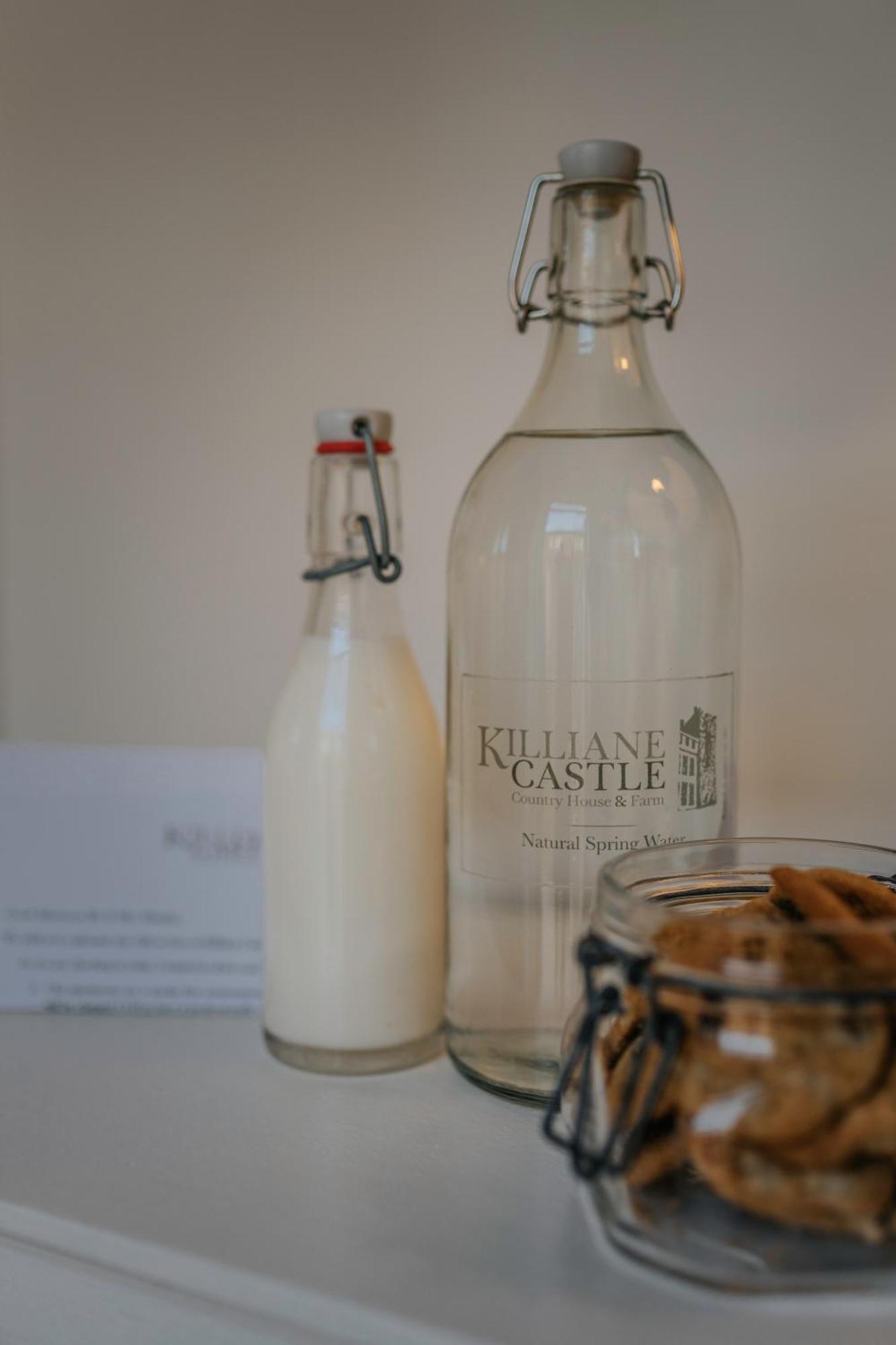 Killiane Castle Country House & Farm Drinagh Ngoại thất bức ảnh