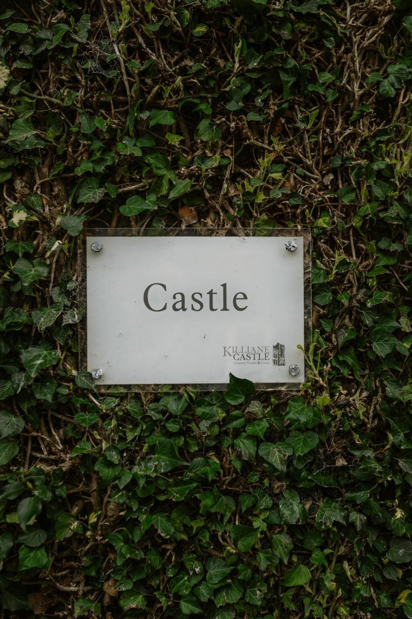 Killiane Castle Country House & Farm Drinagh Ngoại thất bức ảnh