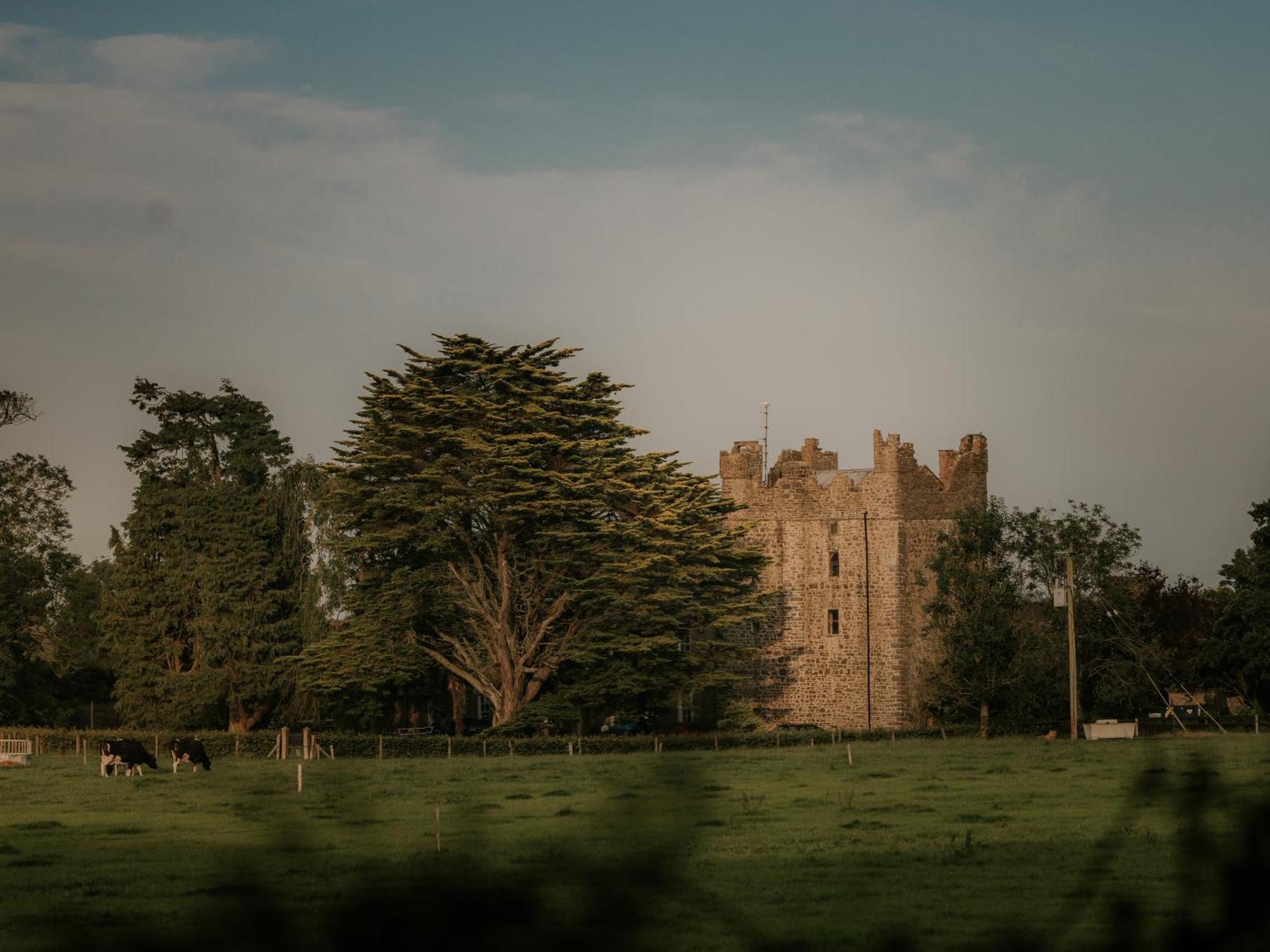 Killiane Castle Country House & Farm Drinagh Ngoại thất bức ảnh