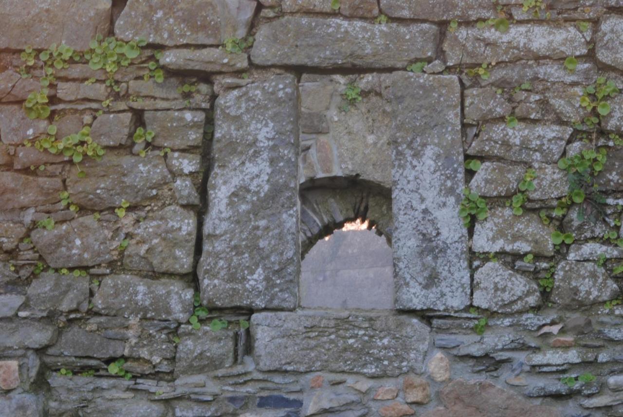 Killiane Castle Country House & Farm Drinagh Phòng bức ảnh
